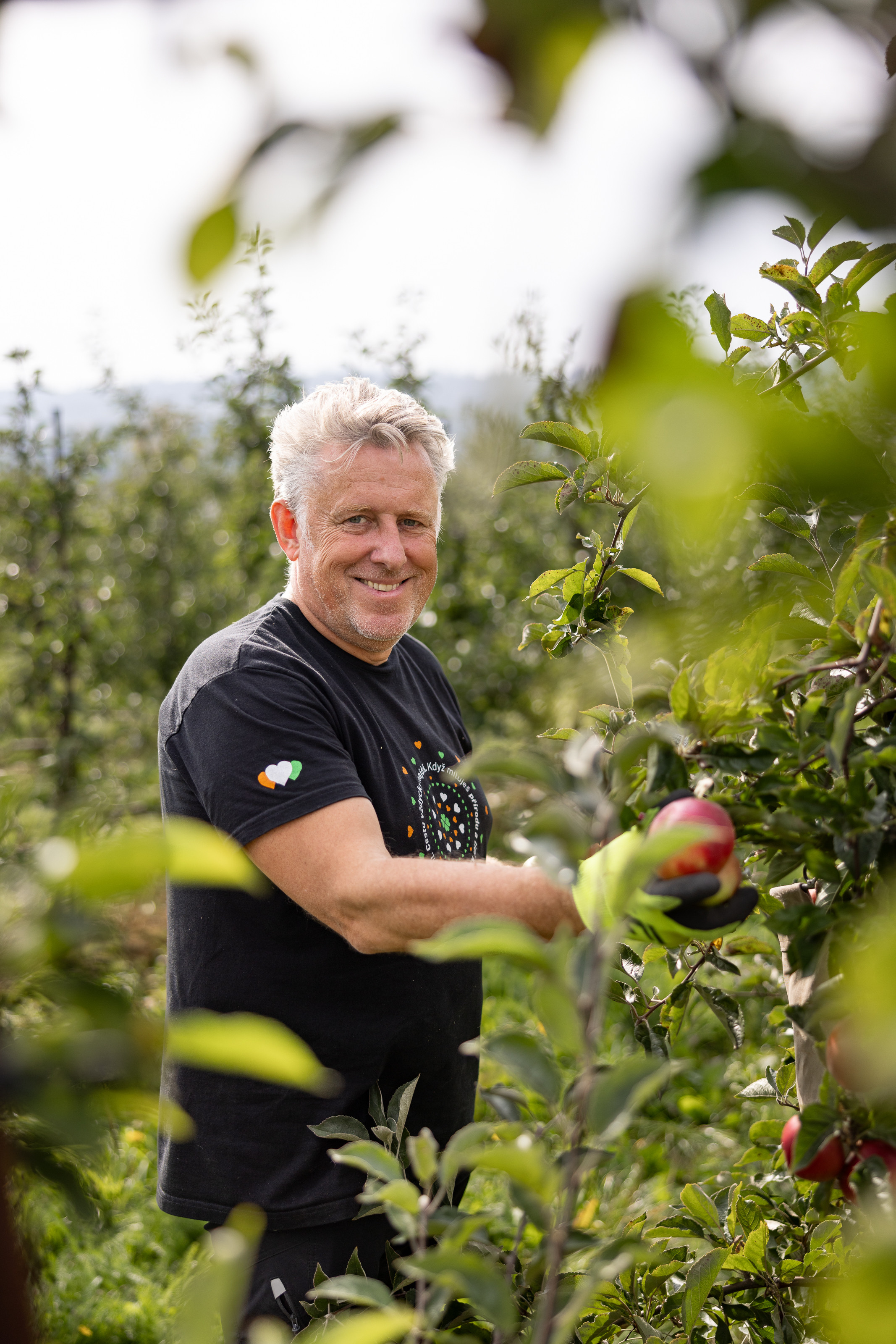 Kofola se stane majitelem jablečných sadů v Česku a spolumajitelem kávových plantáží v Kolumbii